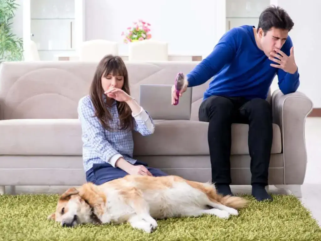 Pets Without the Allergy Symptoms