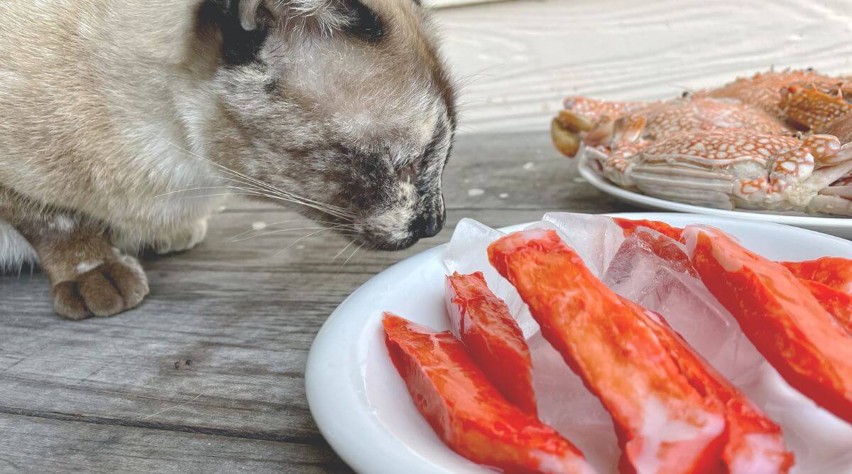 Can Cats Eat Crab Leg Meat