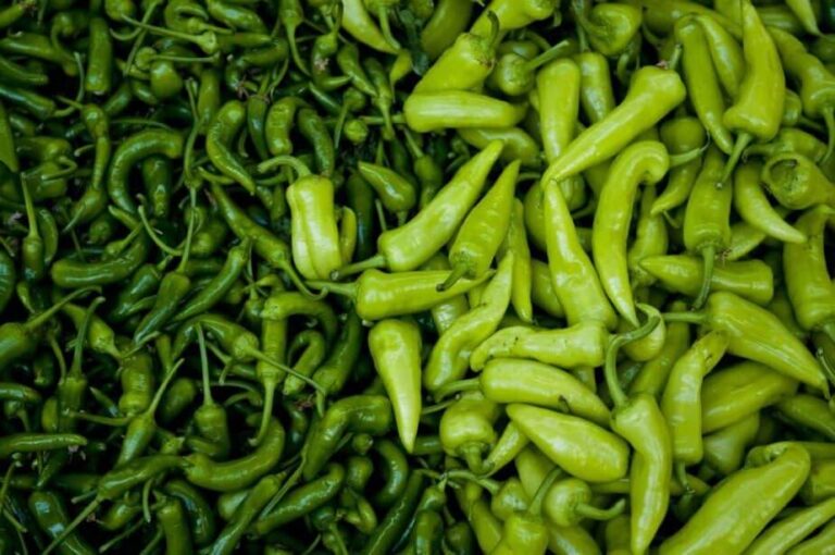 Can Cats and Dogs Eat Banana Peppers?