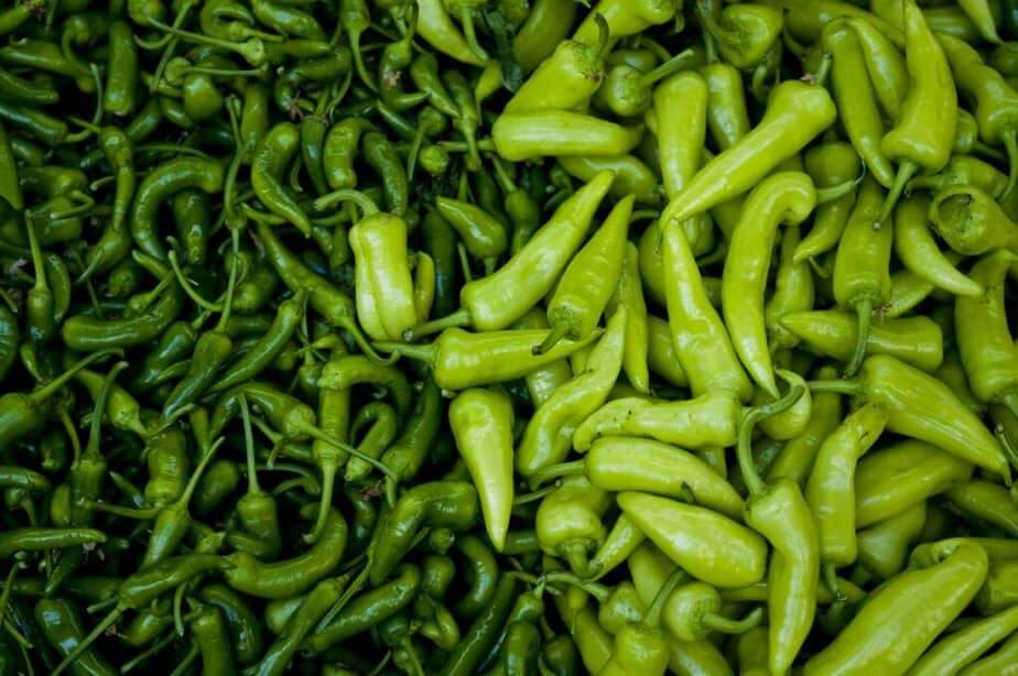 Can Cats and Dogs Eat Banana Peppers?