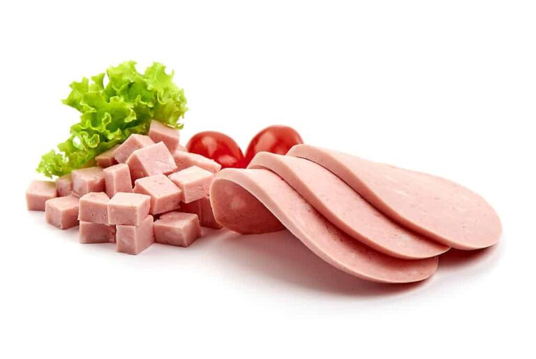 Can Cats and Dogs Eat Bologna?