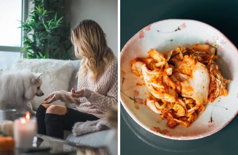 Can Cats and Dogs Eat Kimchi?
