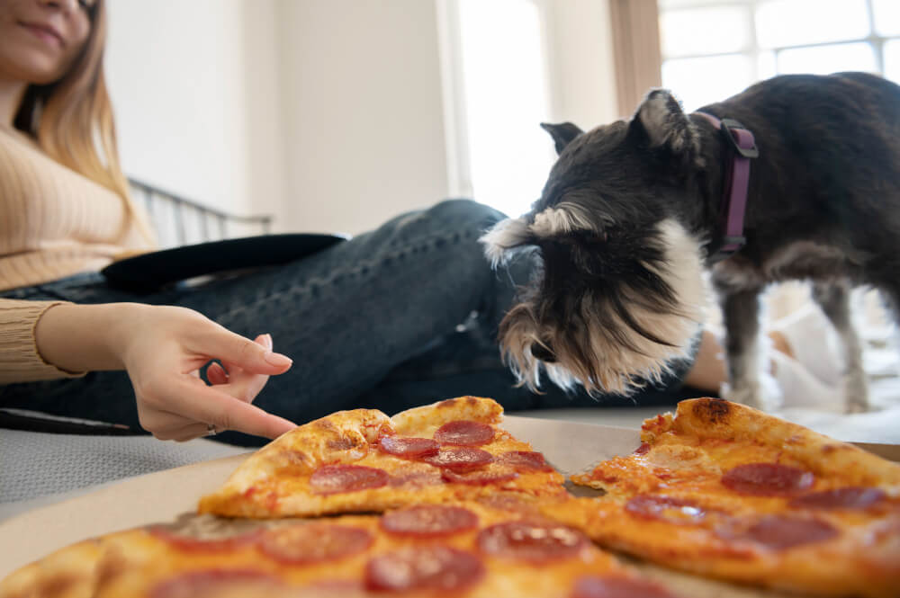 Can Dogs Eat Pepperoni