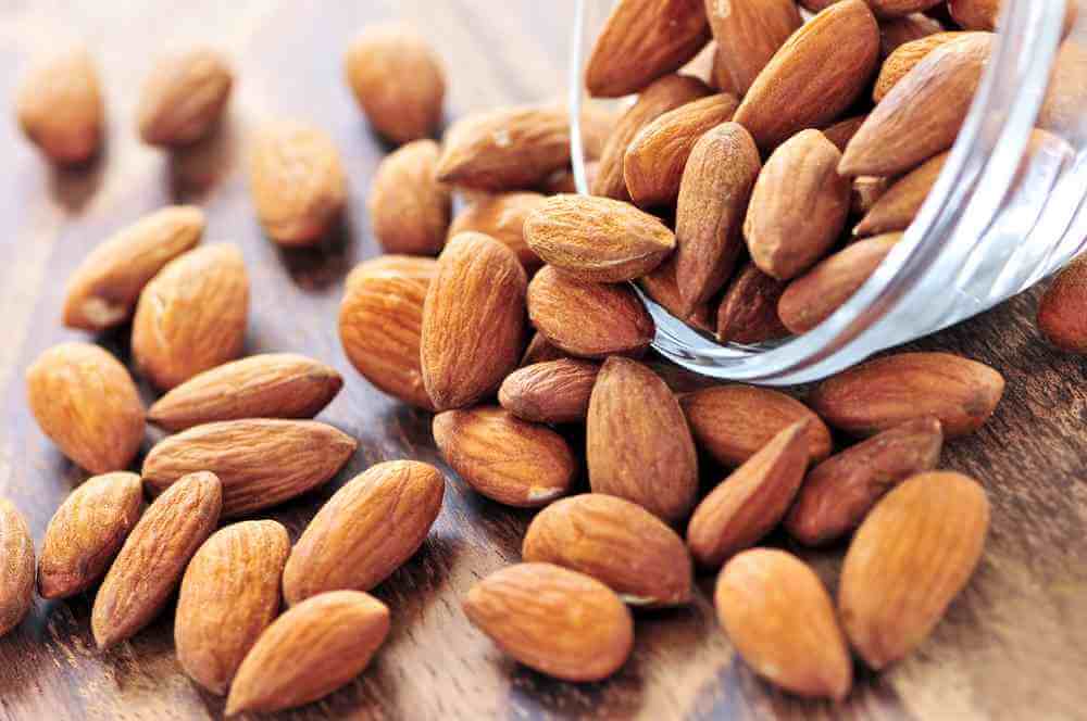 Can Dogs Eat Almonds
