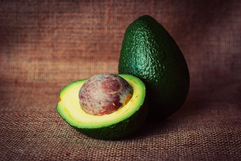 Can Dogs Eat Avocado