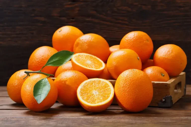 Can Dogs Eat Oranges