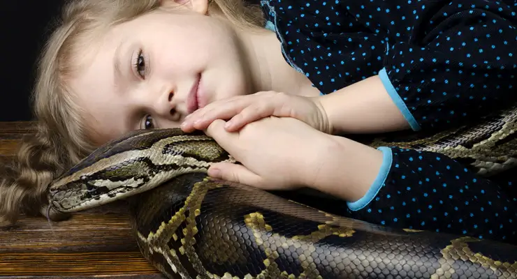 best pet snakes
