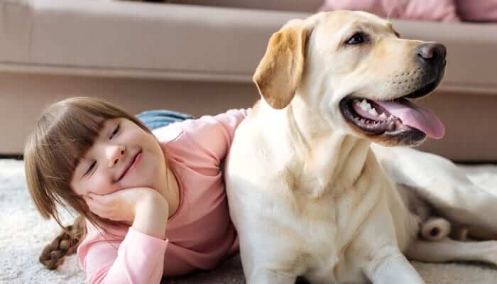 What is Down Syndrome in Dogs
