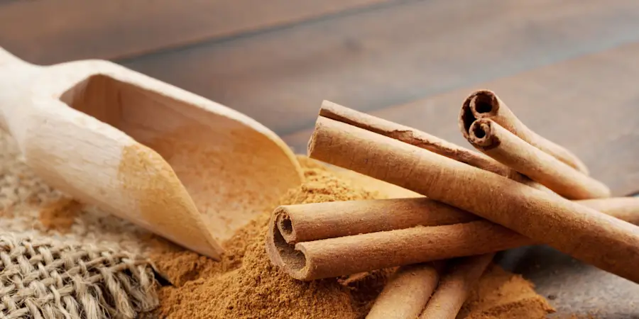 Can Dogs Eat Cinnamon