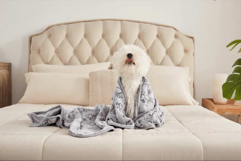 Luciphia Pet Blankets