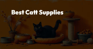 Cat Supplies That Truly Care for Your PetEverything You Need in One Place