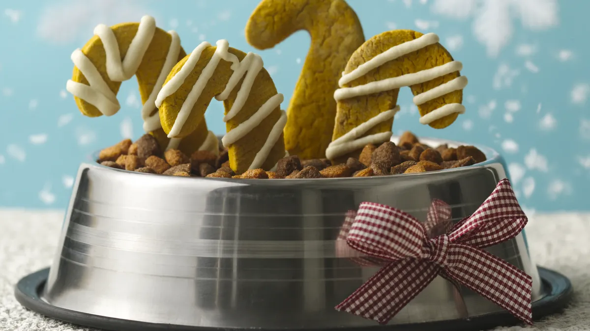 Guide to Gluten Free Dog Treats